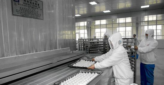 現(xiàn)代化(huà)餃子(zǐ)速凍生(shēng)産線